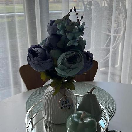 Blue Peony Lejlighed Druskininkai Eksteriør billede